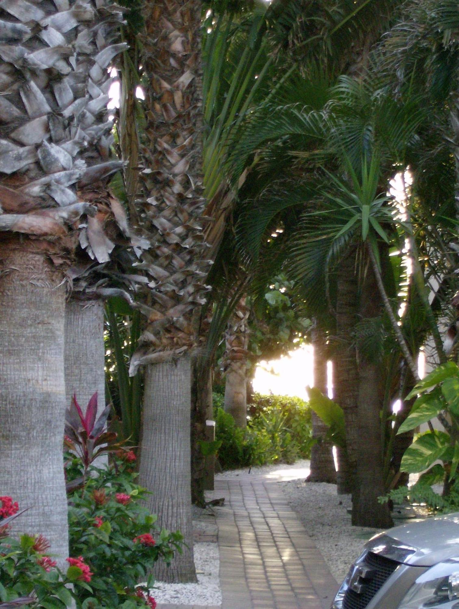 Turtle Crawl Inn - Longboat Key Exterior photo